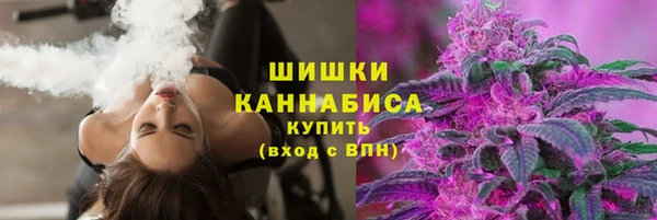 apvp Тайга