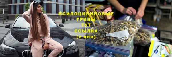 гидропоника Горно-Алтайск