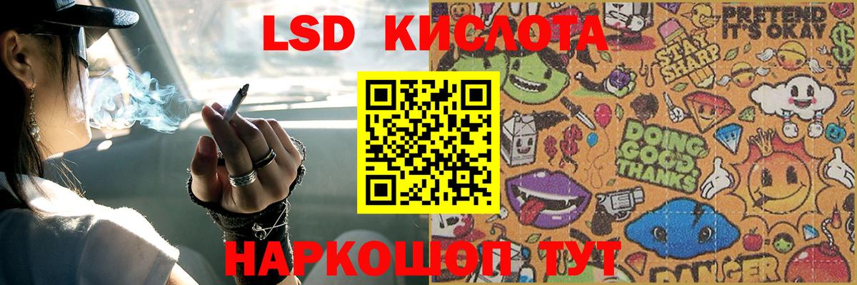 Бошки Шишки Гурьевск