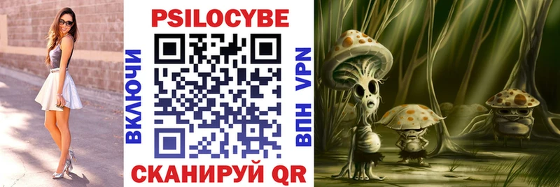 Псилоцибиновые грибы мицелий Гурьевск