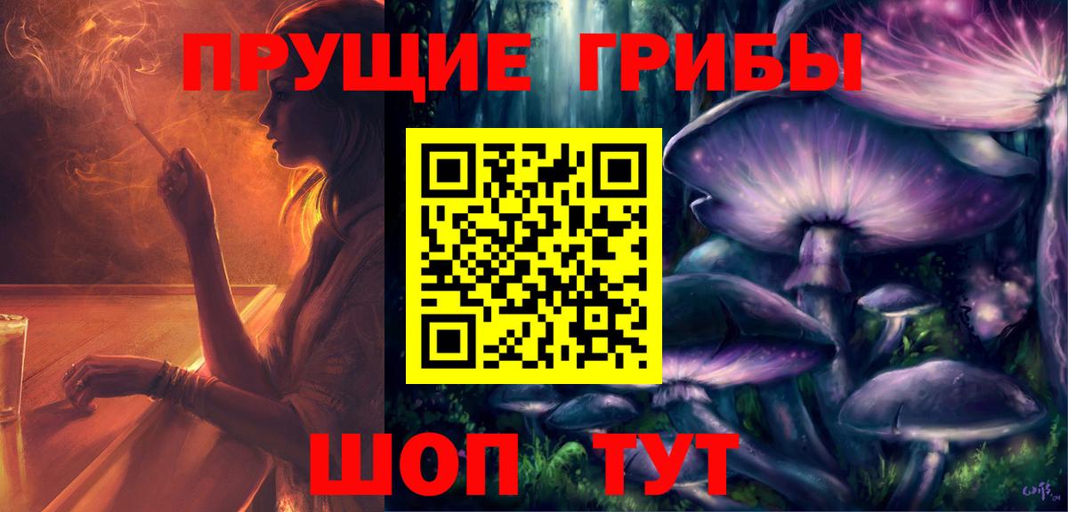 Галлюциногенные грибы прущие грибы  Вход с VPN  Гурьевск  Галлюциногенные грибы Cubensis 