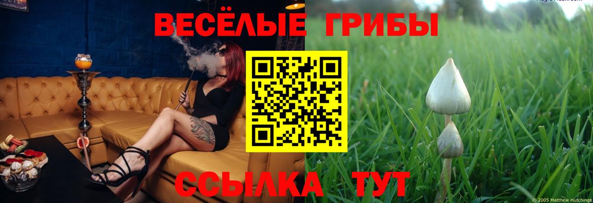 Псилоцибиновые грибы Magic Shrooms  Гурьевск 